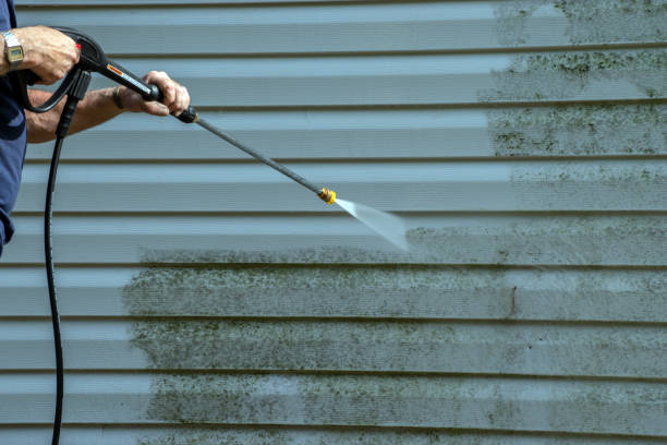 Best Pool Deck Cleaning  in Cerro Gordo, IL